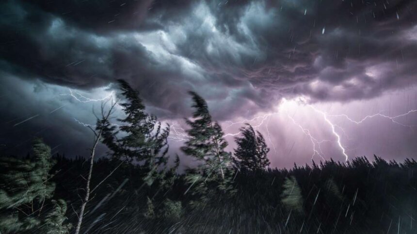Weather